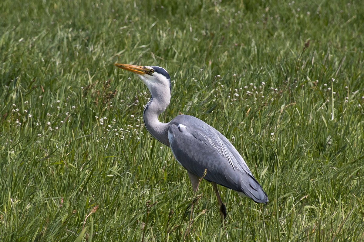 foto: [20220419PV6841]